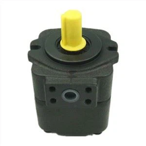 Taiwan KCL DVQ20-17-F-RAB-02 DVQ20-17-F-RAA-01 DVQ20-19 / 23/26-F-RAA-01 VQ SVQ DVQ Hydraulische enkele schottenpomp